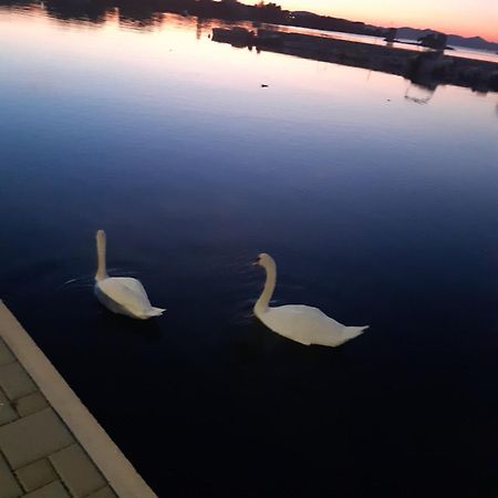 Apartman Barbir Sukošan Esterno foto