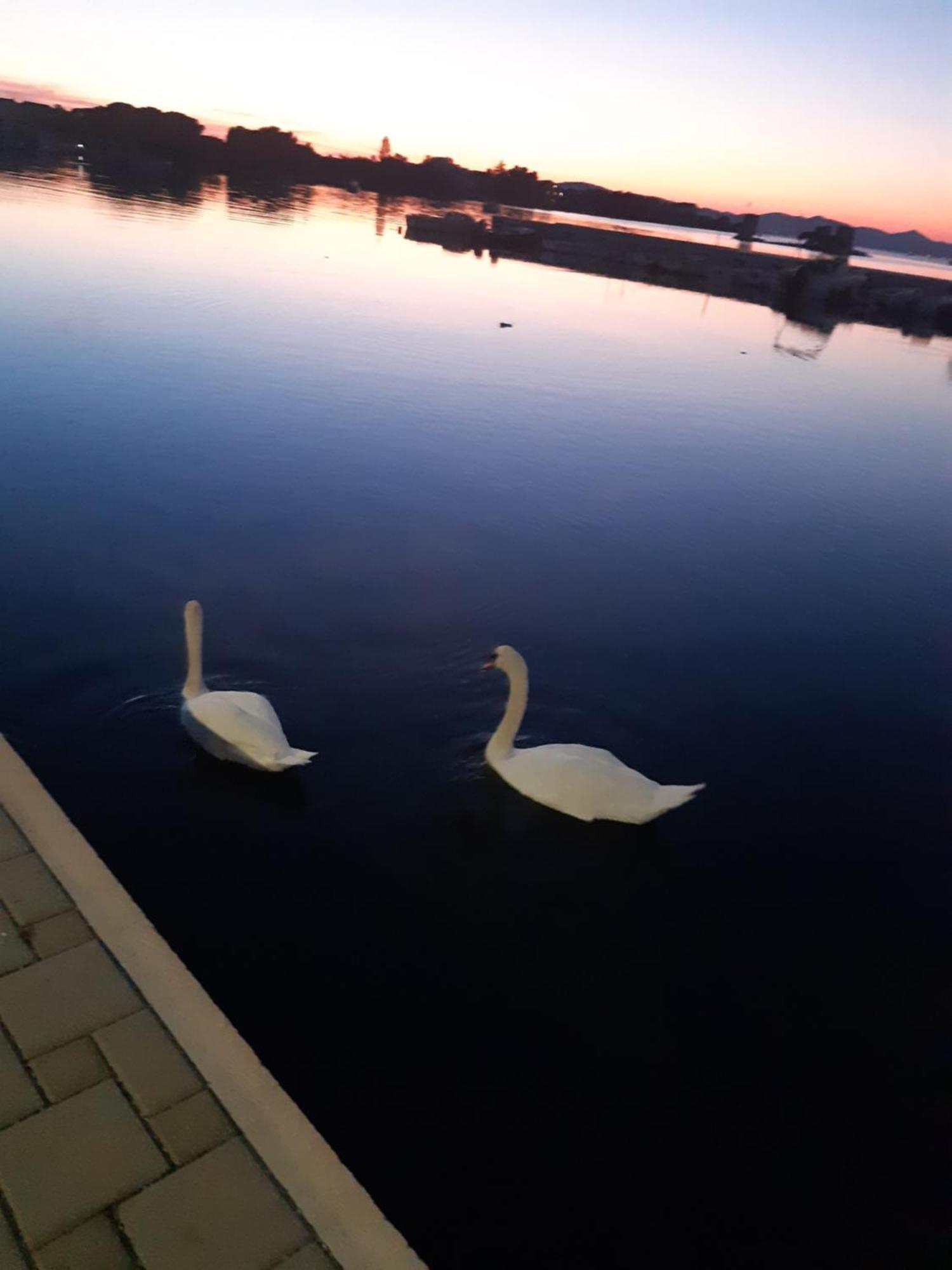 Apartman Barbir Sukošan Esterno foto